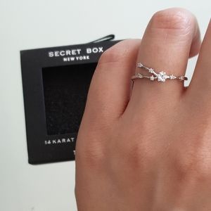 Zodiac Ring 14K Gold Dipped Constellation Rings CZ